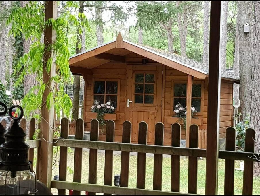 Mooi Chalet Met Grote Tuin Op Een 4 Sterren Park. Дорнспейк Екстер'єр фото